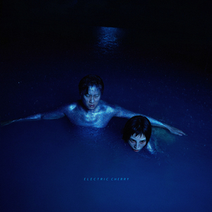 秀秀莉莉玲玲第1-4部
